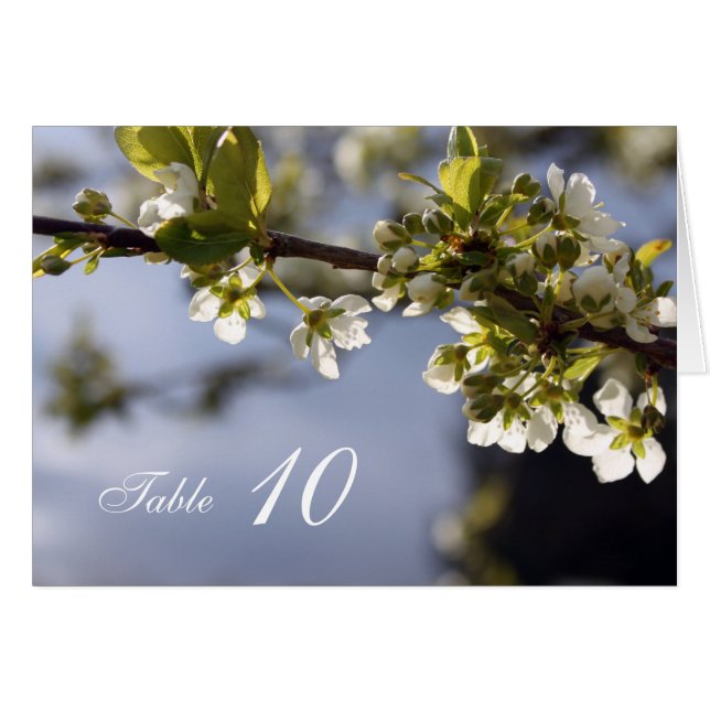 White cherry blossoming  dinner table number card. (Front Horizontal)