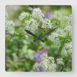 White Cherry Blossoms and Purple Lilac Square Wall Clock