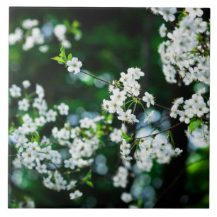 White Cherry Blossoms Green Leaves Ceramic Tile