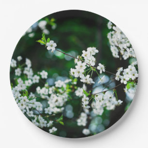 White Cherry Blossoms Green Leaves Paper Plate