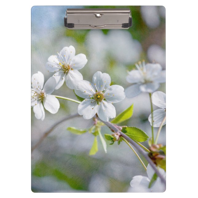 White Cherry Flower Clipboard (Front)
