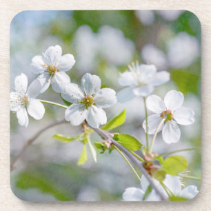 White Cherry Flower Coaster
