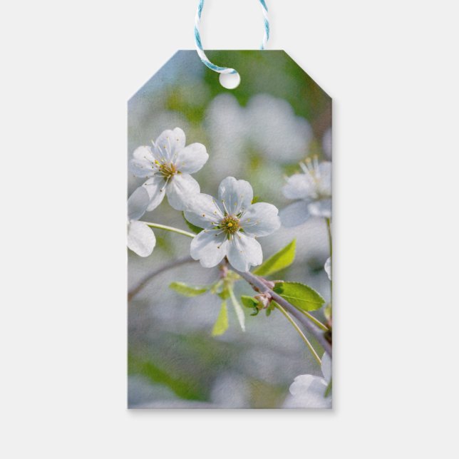 White Cherry Flower Gift Tags (Front)