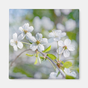 White Cherry Flower Magnet