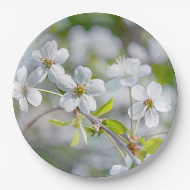 White Cherry Flower Paper Plate (Front)