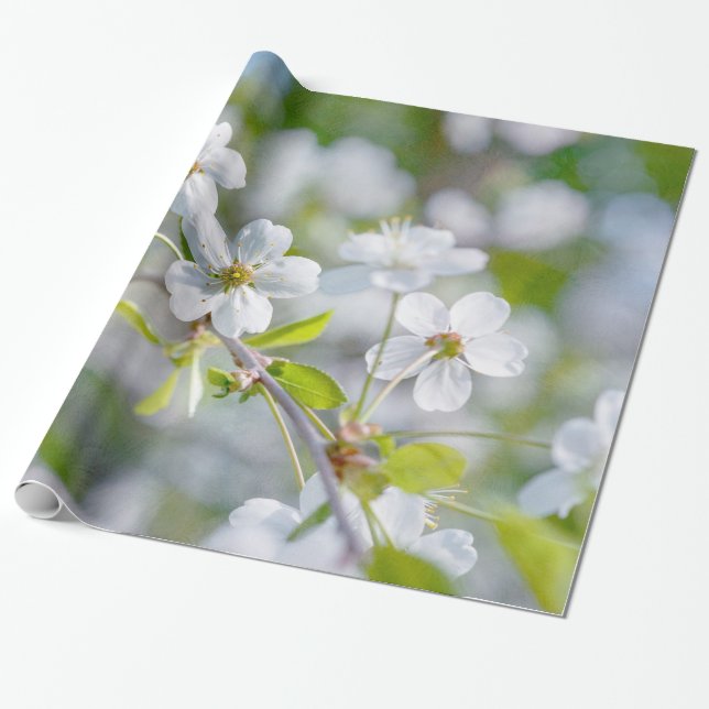 White Cherry Flower Wrapping Paper (Unrolled)