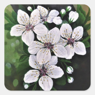 White Cherry Flowers Art In Acrylic Square Sticker