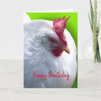 White Chicken Birthday Card