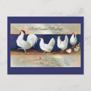 White Chicken Easter Parade Holiday Postcard