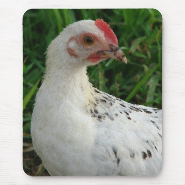 White Chicken Mouse Pad (Front)