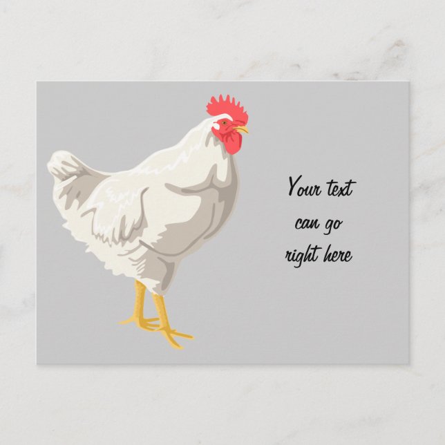 White Chicken Postcard (Front)
