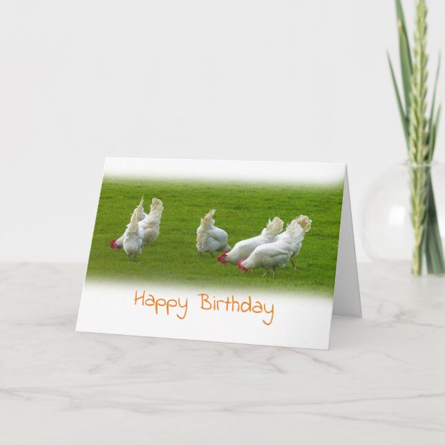 White chickens Birthday card (Front)