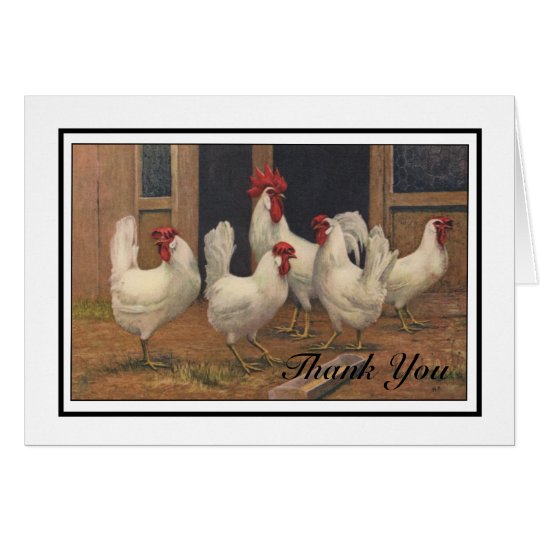 White Chickens Card