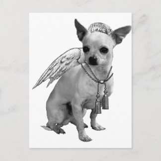 White Chihuahua Angel Wings Postcard