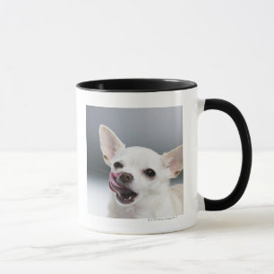 White Chihuahua licking lips Mug