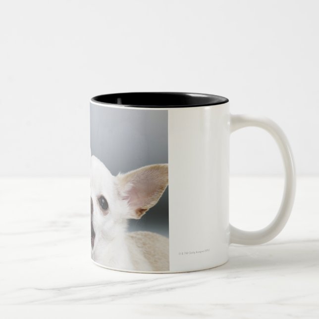 White Chihuahua licking lips Two-Tone Coffee Mug (Right)
