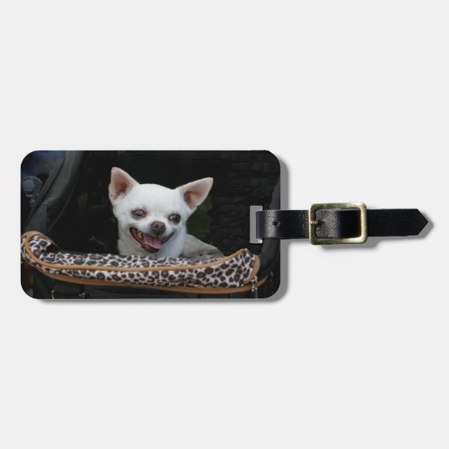 White Chihuahua Luggage Tag (Front Horizontal)