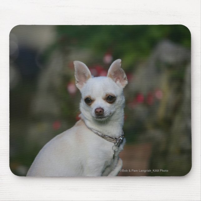 White Chihuahua Mouse Pad (Front)