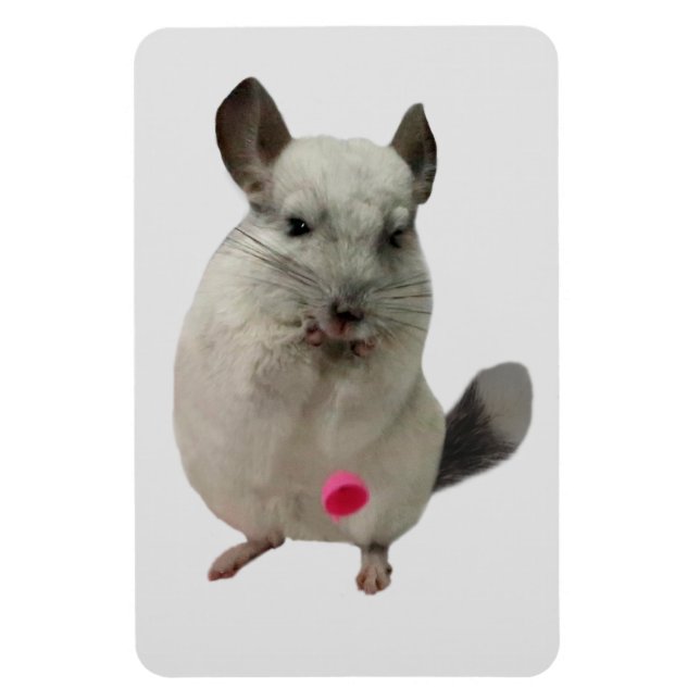 White chinchilla dropping cup magnet (Vertical)
