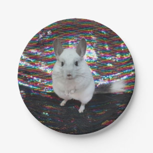 White Chinchilla superstar Paper Plate