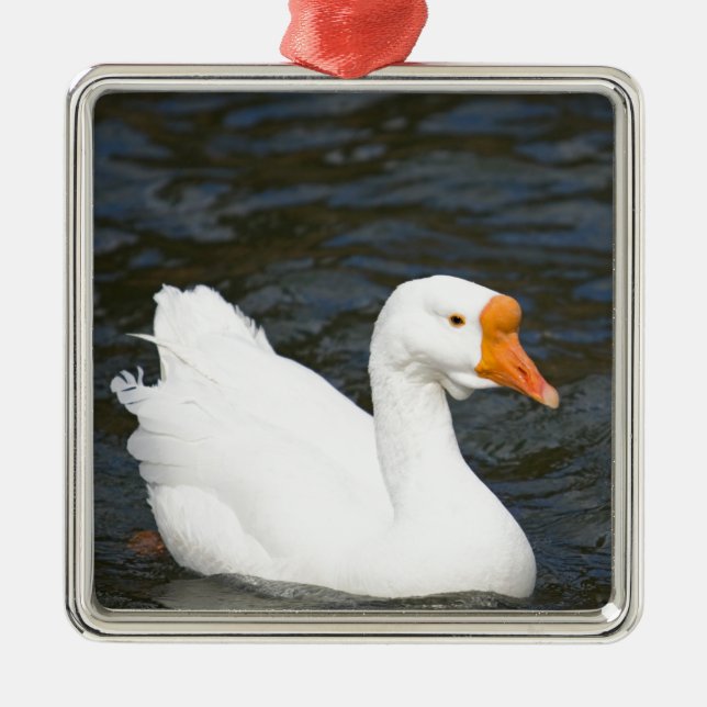 White Chinese Goose Metal Ornament (Front)