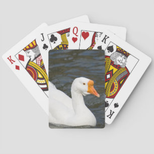 White Chinese Goose Playing Cards