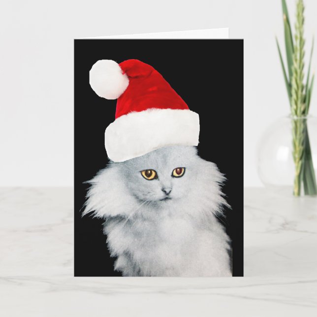 WHITE CHRISTMAS CAT WITH SANTA CLAUS HAT HOLIDAY CARD (Front)