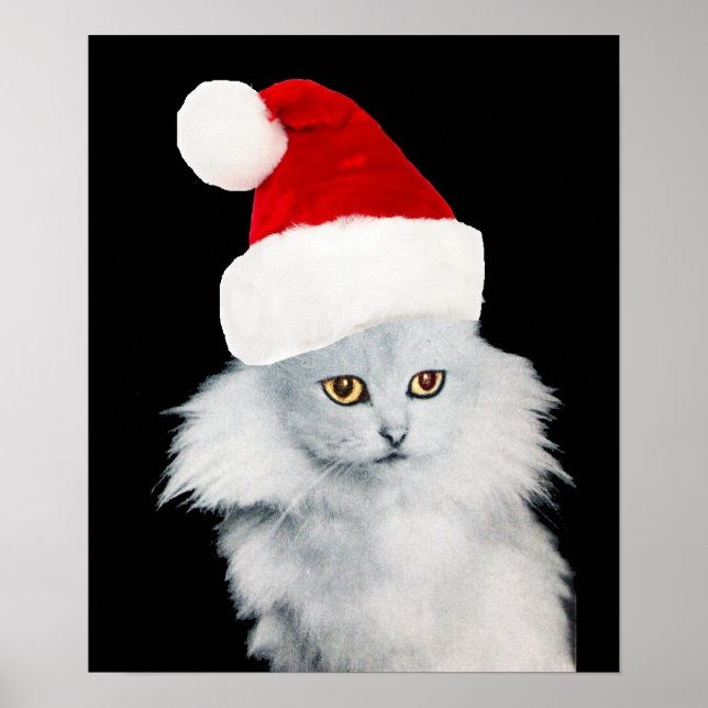 WHITE CHRISTMAS CAT WITH SANTA CLAUS HAT POSTER (Front)