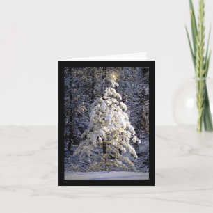 White Christmas Holiday Card