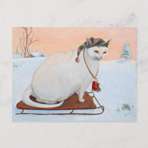 White Christmas Holiday Cat in Snow