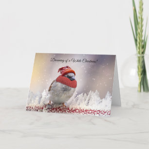 White ChristmasSnowbird Florida Christmas Card