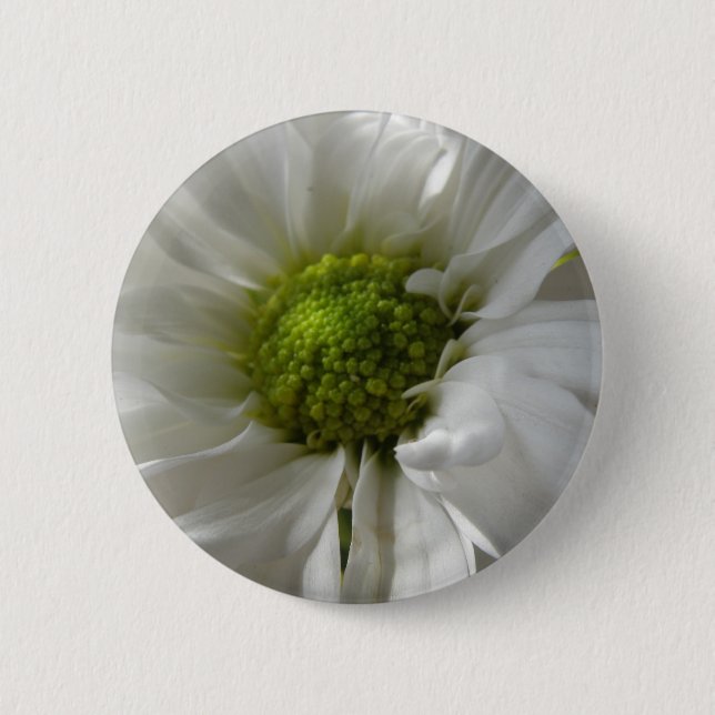 White Chrysanthemum Button (Front)