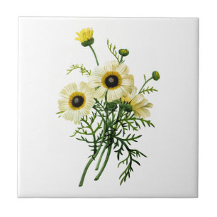 White Chrysanthemum by Pierre Joseph Redoute Ceramic Tile