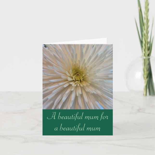 White Chrysanthemum Greeting Card for Mum (Front)