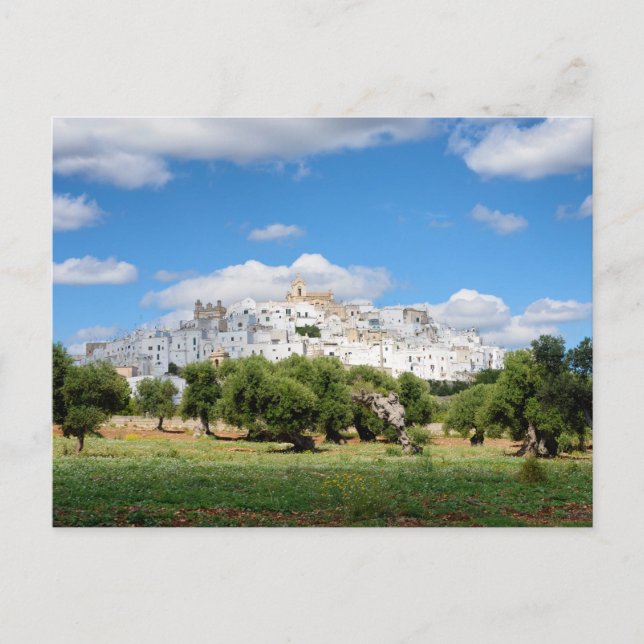 White city Ostuni and olive trees, Puglia postcard (Front)