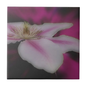 White Clematis Flower Nature Tile