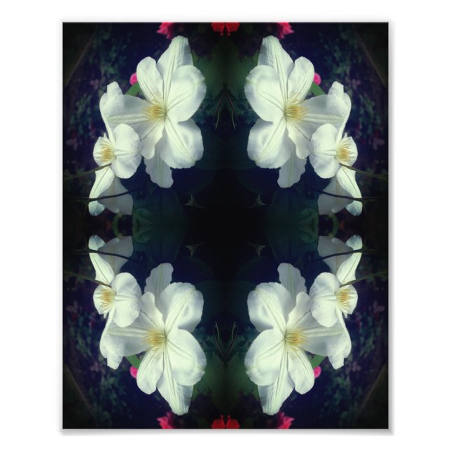 White Clematis Flower Pair Abstract 8x10 Photo Print (Front)