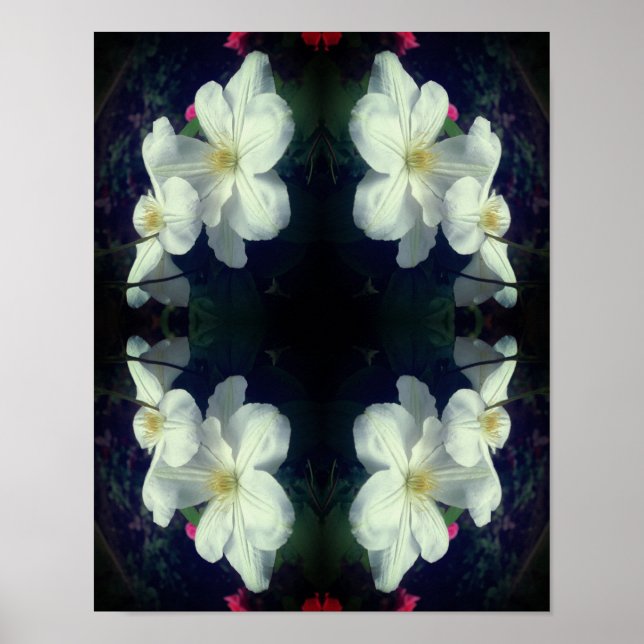 White Clematis Flower Pair Abstract  Poster (Front)