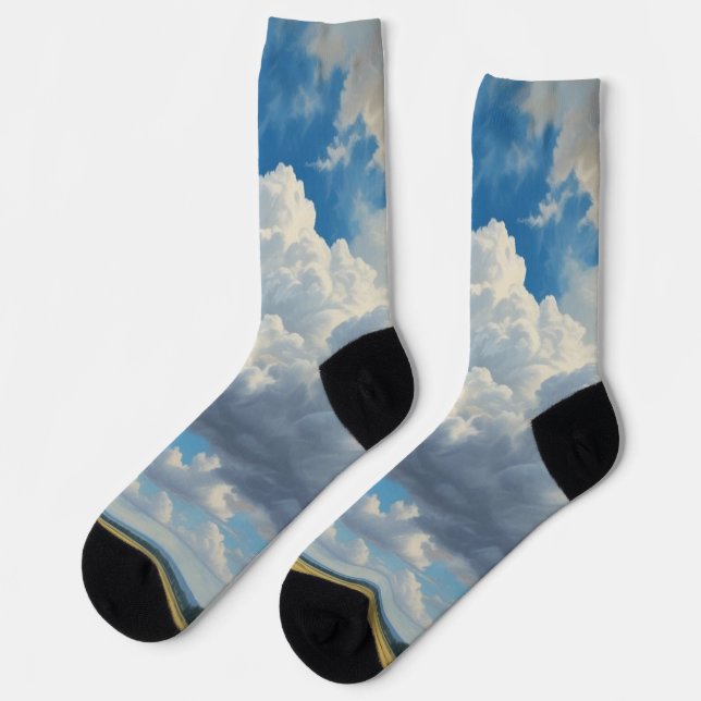 White Clouds and Clear Blue Sky Socks (Left)