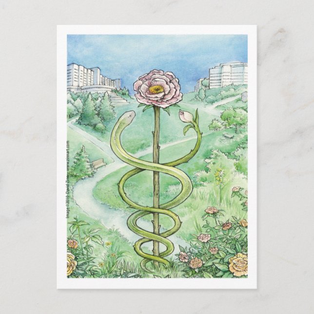 White Coat, Green World (postcard) Postcard (Front)