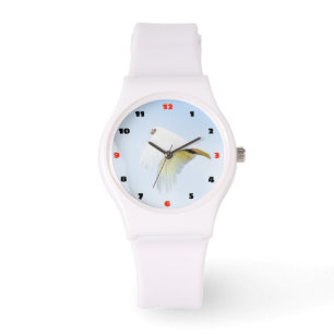 White Cockatoo in flight Watch