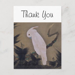 White Cockatoo on Pine Branch Jakuchu Fine Art Postcard
