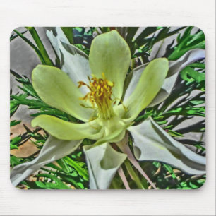 White columbine flower mousepad