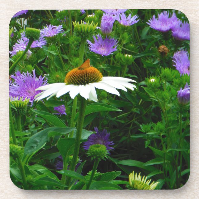 White Cone flower, purple flowers and moth Coaster (Front)