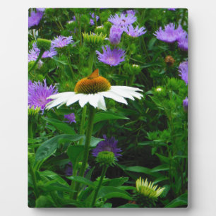White Cone flower, purple flowers and moth Plaque
