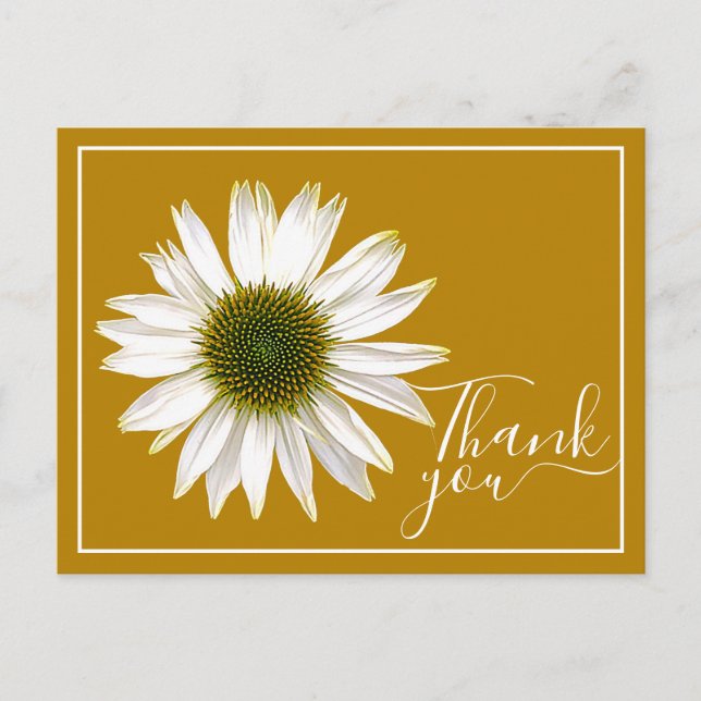 White Coneflower Mustard Background Thank You Postcard (Front)