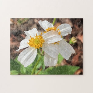 White Cosmo Flowers Garden Spring Floral Up Close Jigsaw Puzzle