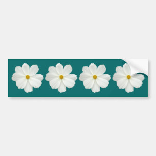 White Cosmos Flower Bumper Sticker