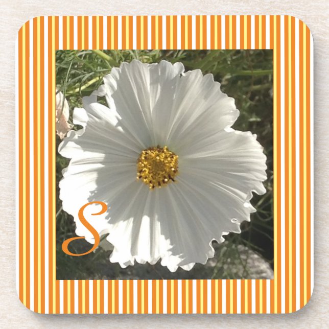 White Cosmos Flower Coaster (Front)