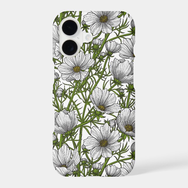 White cosmos flowers (Back)
